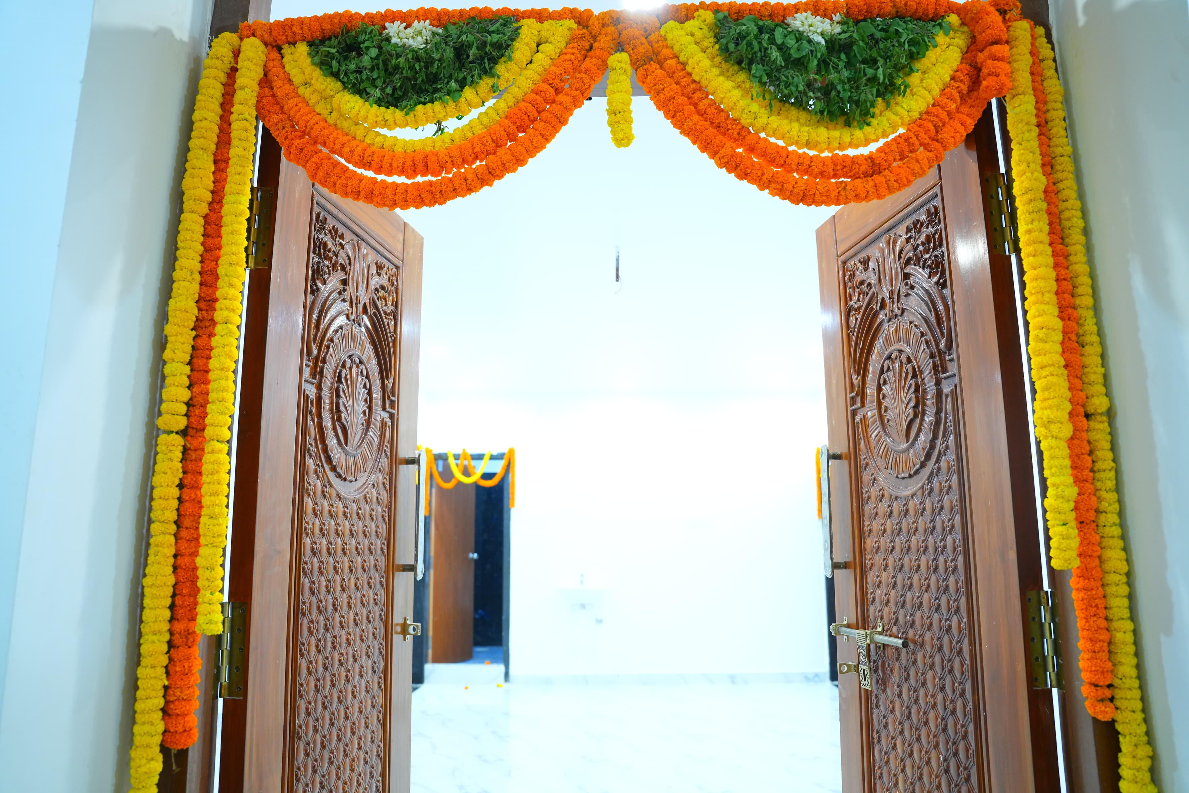 The Property at Brundavanam — DSC03134