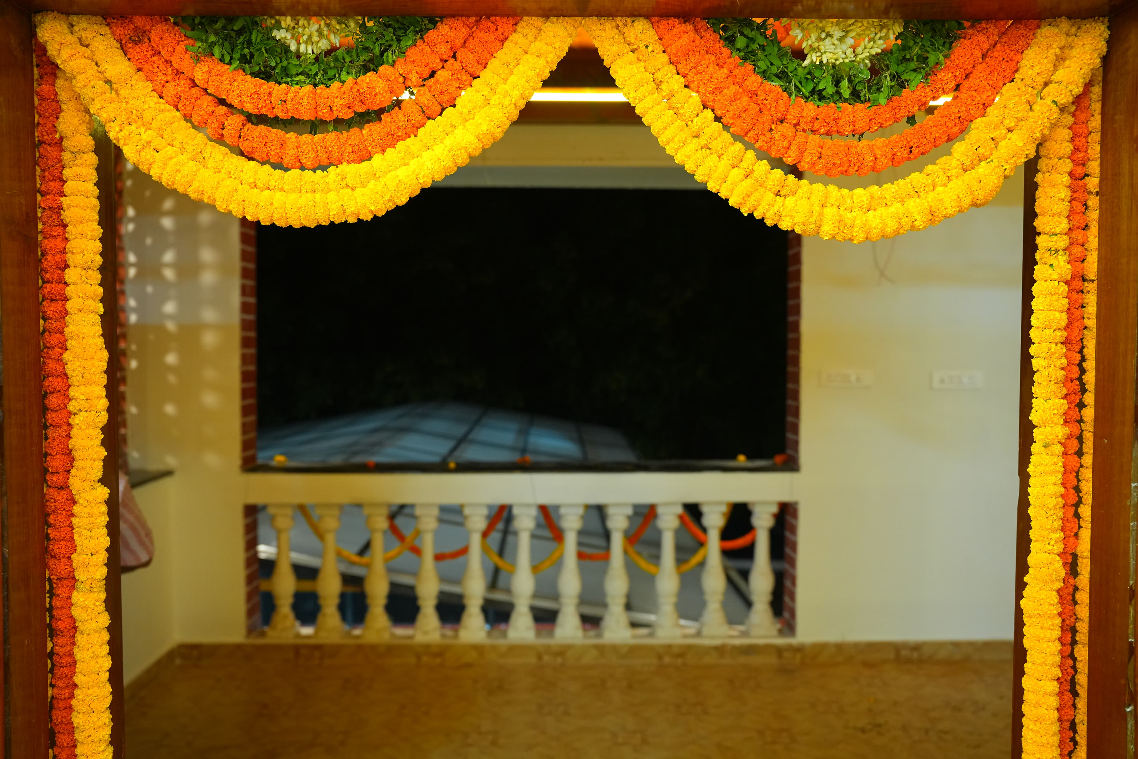 The Property at Brundavanam — DSC03147